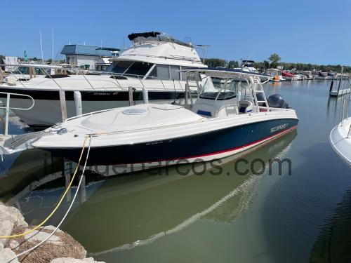 Wellcraft Scarab ficha técnica y opiniones